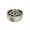 Bearing SKF 100200071